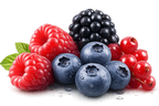 Fruits des bois